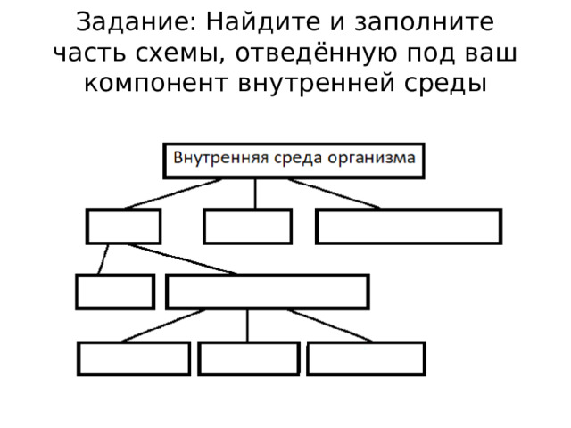 Дополни схему элементы внутренней среды 19 Внутренняя и внешняя среда организации