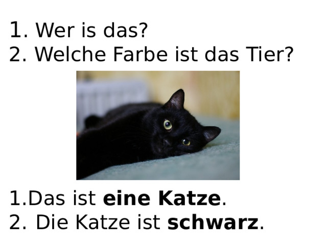 1 . Wer is das? 2. Welche Farbe ist das Tier? Das ist eine Katze . Die Katze ist schwarz . 