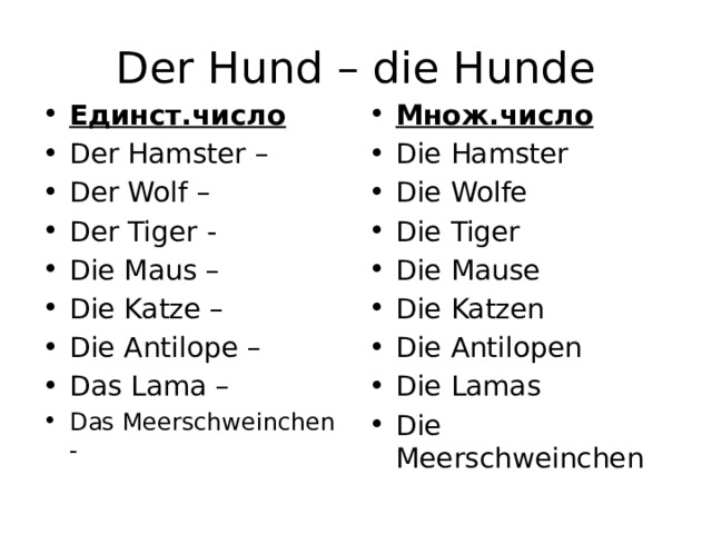 Der Hund – die Hunde Единст.число Der Hamster – Der Wolf – Der Tiger - Die Maus – Die Katze – Die Antilope – Das Lama – Das Meerschweinchen - Множ.число Die Hamster Die Wolfe Die Tiger Die Mause Die Katzen Die Antilopen Die Lamas Die Meerschweinchen 