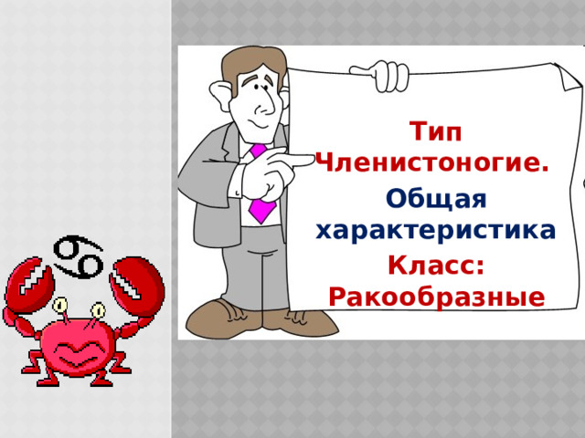 Тип Членистоногие. Общая характеристика Класс: Ракообразные