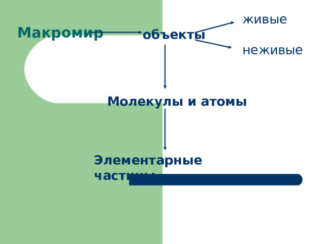 живые объекты Макромир  неживые Молекулы и атомы Элементарные частицы 