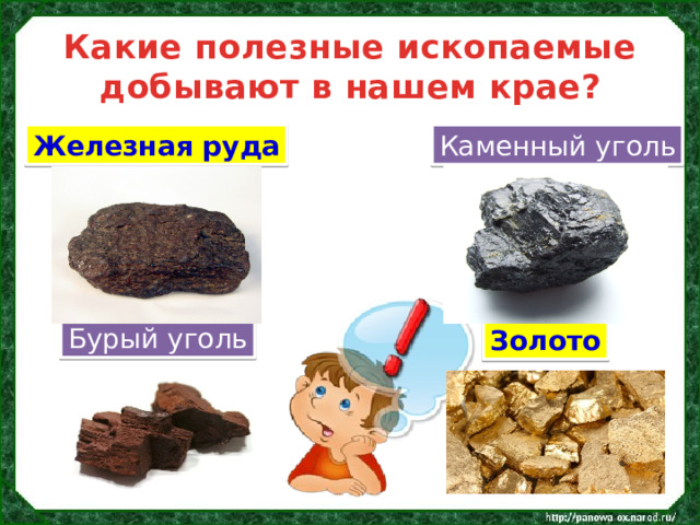 Какие полезные ископаемые добывают в нашем крае? Железная руда Каменный уголь Бурый уголь Золото  