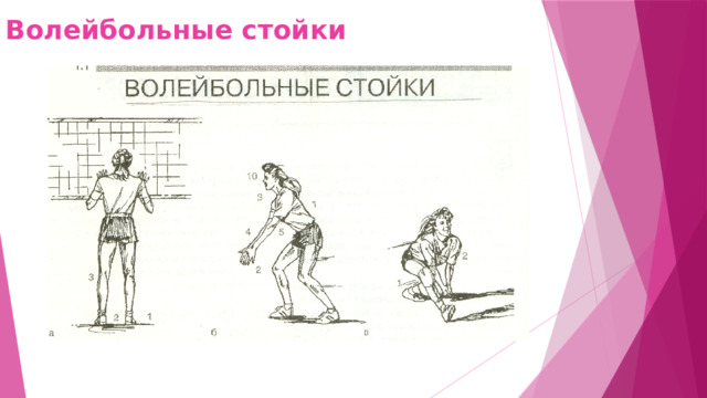 Волейбольные стойки 