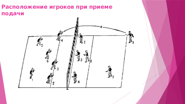 Расположение игроков при приеме подачи 