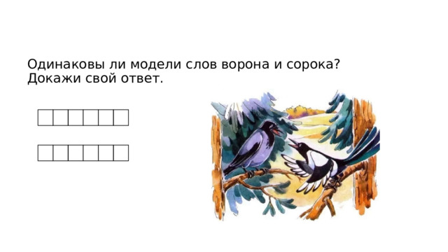 Одинаковы ли модели слов ворона и сорока?  Докажи свой ответ. 