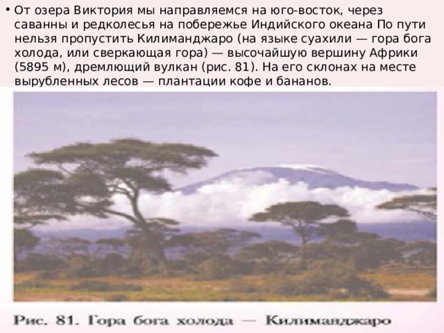 От озера Виктория мы направляемся на юго-восток, через саванны и редколесья на побережье Индийского океана По пути нельзя пропустить Килиманджаро (на языке суахили — гора бога холода, или сверкающая гора) — высочайшую вершину Африки (5895 м), дремлющий вулкан (рис. 81). На его склонах на месте вырубленных лесов — плантации кофе и бананов. 