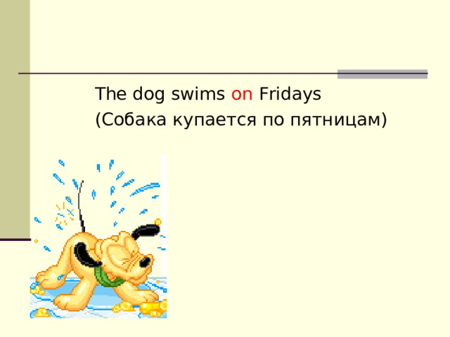 The dog swims on Fridays (Собака купается по пятницам) 