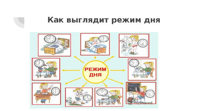 Как выглядит режим дня 