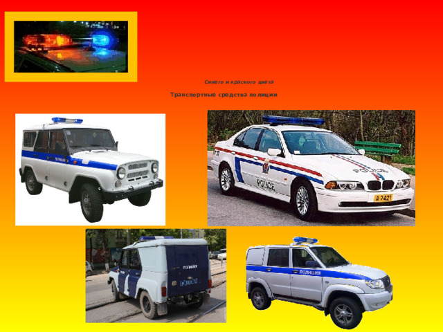  Синего и красного цвета    Транспортные средства полиции    