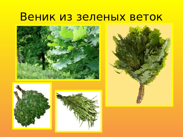 Веник из зеленых веток 