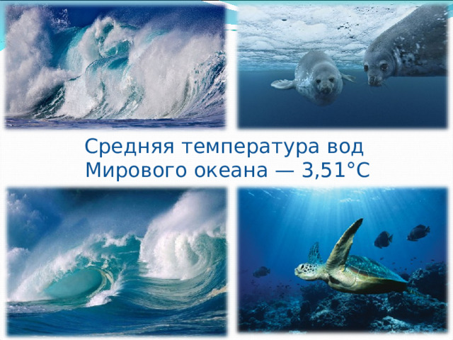 Средняя температура вод Мирового океана — 3,51°С 