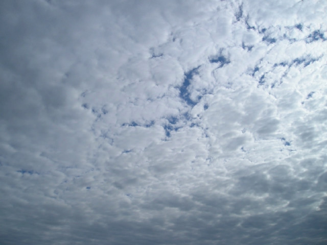 Слоистые облака http://www.sky.aw.net.ua/stratus/stratus_1.html 