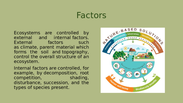 Factors Ecosystems are controlled by external and internal factors. External factors such as climate, parent material which forms the soil and topography, control the overall structure of an ecosystem. Internal factors are controlled, for example, by decomposition, root competition, shading, disturbance, succession, and the types of species present. 
