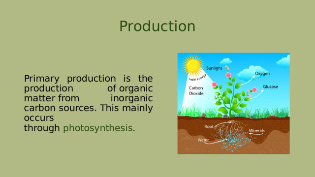 Production Primary production is the production of organic matter from inorganic carbon sources. This mainly occurs through  photosynthesis . 