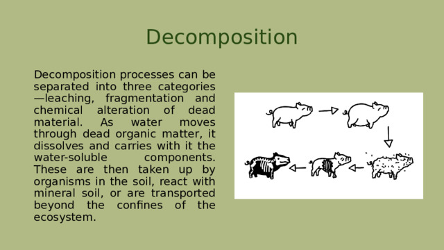 Decomposition Decomposition processes can be separated into three categories—leaching, fragmentation and chemical alteration of dead material. As water moves through dead organic matter, it dissolves and carries with it the water-soluble components. These are then taken up by organisms in the soil, react with mineral soil, or are transported beyond the confines of the ecosystem. 