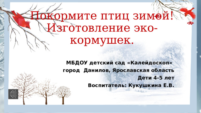 Покормите птиц зимой!  Изготовление эко-кормушек.   МБДОУ детский сад «Калейдоскоп» город Данилов, Ярославская область Дети 4-5 лет Воспитатель: Кукушкина Е.В. 