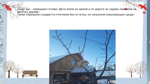   Наши эко – кормушки готовы! Дети взяли их домой и по дороге из садика повесили на веточку дерева!  Такие кормушки съедаются птичками без остатка, не загрязняя окружающую среду! 