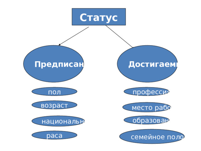 Статус Предписанный Достигаемый пол профессия возраст место работы национальность образование семейное положение раса 