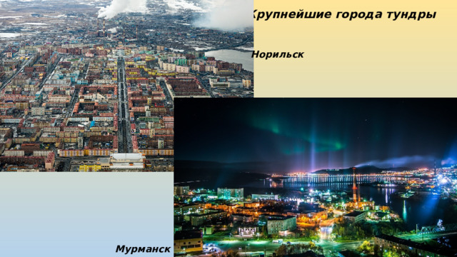 Крупнейшие города тундры Норильск Мурманск 