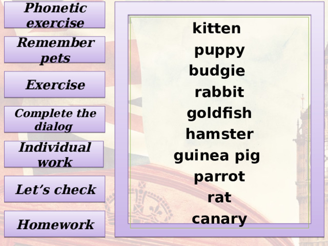 Phonetic exercise kitten puppy budgie rabbit goldfish hamster guinea pig parrot rat canary Remember pets Exercise Complete the dialog Individual work Let’s check Homework 