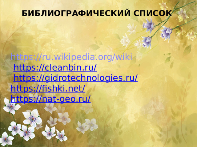 Библиографический список https://ru.wikipedia.org/wiki  https://cleanbin.ru/  https://gidrotechnologies.ru/ https://fishki.net/ https://nat-geo.ru/ 