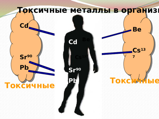 Токсичные металлы в организме Cd   Sr 90 Pb Be  Cs 137 Zn  Be  Cs 137 Mg Cd   Sr 90 Pb K Ca Токсичные металлы Токсичные металлы 