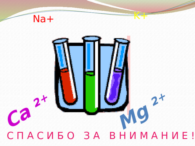 Mg 2+ Ca 2+ K+ Na+ С П А С И Б О З А В Н И М А Н И Е !  