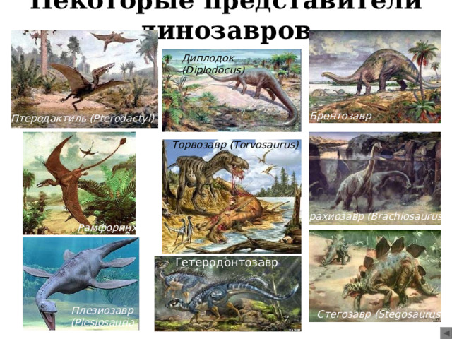 Некоторые представители динозавров Диплодок (Diplodocus)  Бронтозавр (Brontosaurus) Птеродактиль (Pterodactyl) Торвозавр  (Torvosaurus) Брахиозавр (Brachiosaurus) Рамфоринх Гетеродонтозавр Плезиозавр (Plesiosauria) Стегозавр (Stegosaurus) 