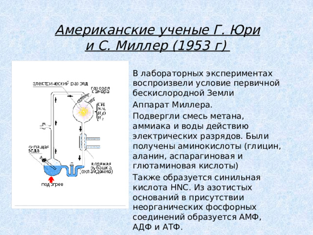 Американские ученые Г. Юри и С. Миллер (1953 г) В лабораторных экспериментах воспроизвели условие первичной бескислородной Земли Аппарат Миллера. Подвергли смесь метана, аммиака и воды действию электрических разрядов. Были получены аминокислоты (глицин, аланин, аспарагиновая и глютаминовая кислоты) Также образуется синильная кислота HNC. Из азотистых оснований в присутствии неорганических фосфорных соединений образуется АМФ, АДФ и АТФ. 