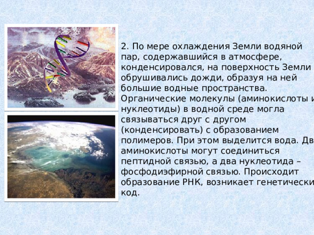 2. По мере охлаждения Земли водяной пар, содержавшийся в атмосфере, конденсировался, на поверхность Земли обрушивались дожди, образуя на ней большие водные пространства. Органические молекулы (аминокислоты и нуклеотиды) в водной среде могла связываться друг с другом (конденсировать) с образованием полимеров. При этом выделится вода. Две аминокислоты могут соединиться пептидной связью, а два нуклеотида – фосфодиэфирной связью. Происходит образование РНК, возникает генетический код. 