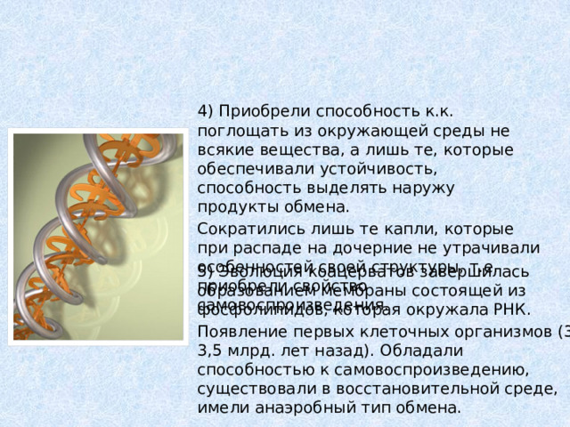 4) Приобрели способность к.к. поглощать из окружающей среды не всякие вещества, а лишь те, которые обеспечивали устойчивость, способность выделять наружу продукты обмена. Сократились лишь те капли, которые при распаде на дочерние не утрачивали особенностей своей структуры, т.е. приобрели свойство самовоспроизведения. 5) Эволюция коацерватов завершилась образованием мембраны состоящей из фосфолипидов, которая окружала РНК. Появление первых клеточных организмов (3-3,5 млрд. лет назад). Обладали способностью к самовоспроизведению, существовали в восстановительной среде, имели анаэробный тип обмена. 