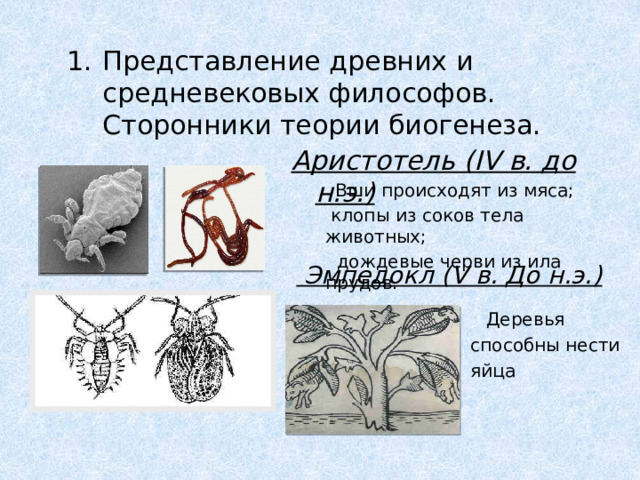 Представление древних и средневековых философов. Сторонники теории биогенеза. Аристотель (IV в. до н.э.)  Вши происходят из мяса;   клопы из соков тела животных;   дождевые черви из ила прудов.  Эмпедокл (V в. До н.э.)  Деревья способны нести яйца 