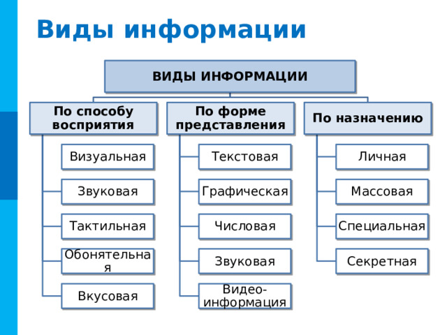 Виды информации ВИДЫ ИНФОРМАЦИИ По форме представления По способу восприятия По назначению Личная Текстовая Визуальная Массовая Графическая Звуковая Специальная Числовая Тактильная Секретная Звуковая Обонятельная Видео-  информация Вкусовая 11 