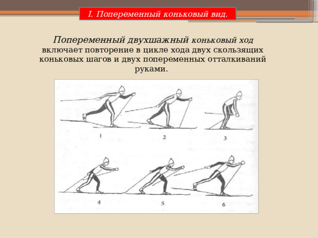 I. Попеременный коньковый вид. Попеременный двухшажный коньковый ход включает повторение в цикле хода двух скользящих коньковых шагов и двух попеременных отталкиваний руками. 