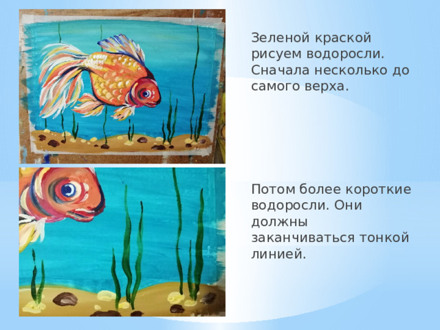 Зеленой краской рисуем водоросли. Сначала несколько до самого верха. Потом более короткие водоросли. Они должны заканчиваться тонкой линией. 