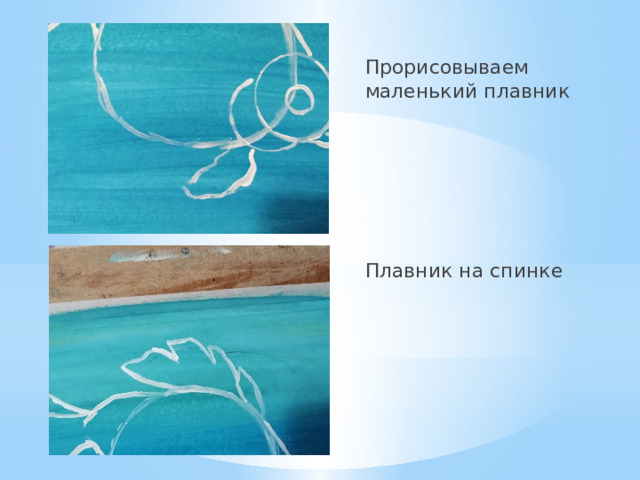 Прорисовываем маленький плавник Плавник на спинке 