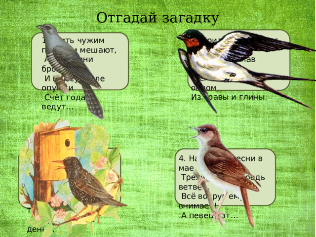 Отгадай загадку 2. Прилетает к нам с теплом   Путь проделав длинный,   Лепит домик под окном Из травы и глины. 1. Жить чужим птенцам мешают,   А своих они бросают.   И в лесу возле опушки   Счёт годам ведут… 4. Начинает песни в мае,   Трели льются средь ветвей,   Всё вокруг ему внимает!   А певец тот… 3. Эту птицу каждый знает:   На шесте его дворец.   Червяков птенцам таскает   Да трещит весь день… 