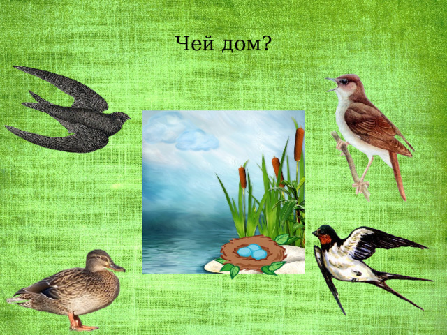 Чей дом? 