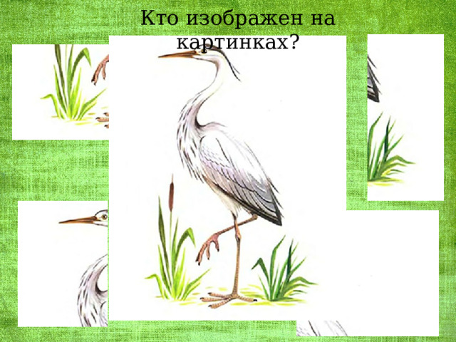 Кто изображен на картинках? 