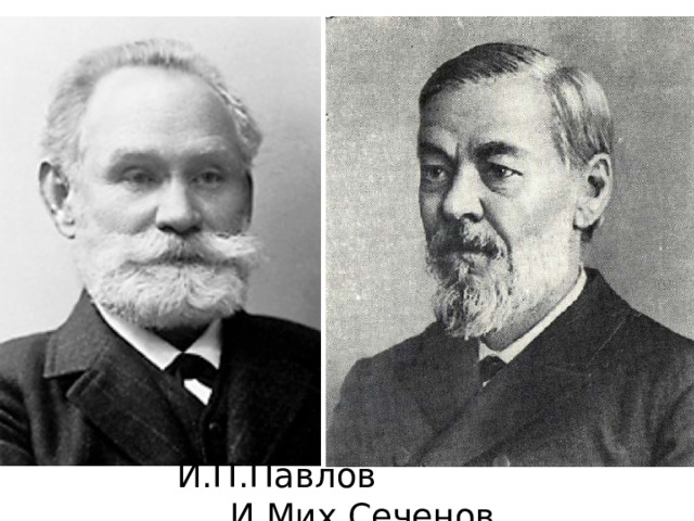 И.П.Павлов И.Мих.Сеченов 