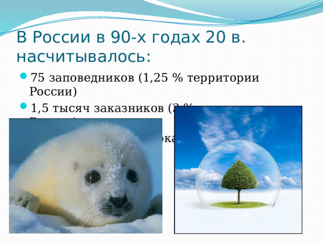 В России в 90-х годах 20 в. насчитывалось: 75 заповедников (1,25 % территории России) 1,5 тысяч заказников (3 % территории России) 22 национальных парка 