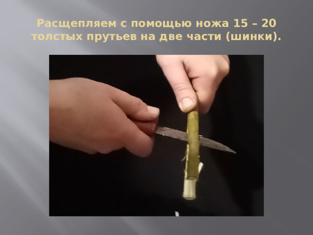 Расщепляем с помощью ножа 15 – 20 толстых прутьев на две части (шинки). 