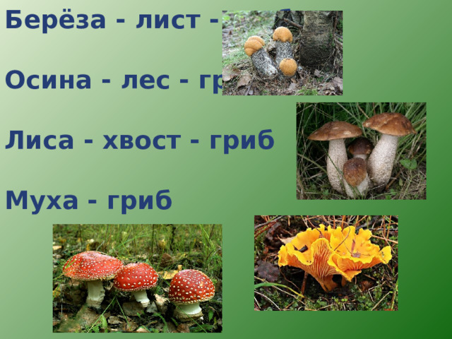 Собери слова грибы