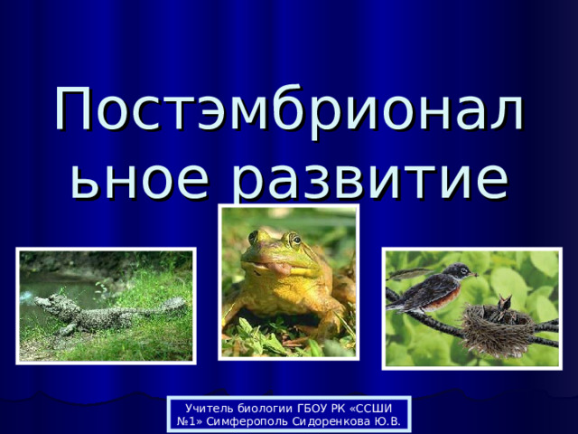 Постэмбриональное развитие Учитель биологии ГБОУ РК «ССШИ №1» Симферополь Сидоренкова Ю.В. 