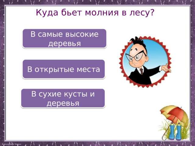 Куда бьет молния в лесу? В самые высокие деревья В открытые места В сухие кусты и деревья 