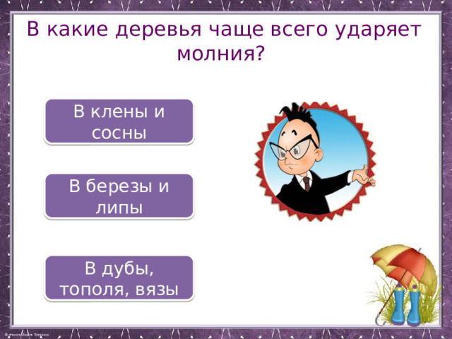 В какие деревья чаще всего ударяет молния? В клены и сосны В березы и липы В дубы, тополя, вязы 