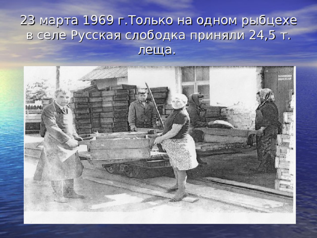 23 марта 1969 г.Только на одном рыбцехе в селе Русская слободка приняли 24,5 т. леща.  
