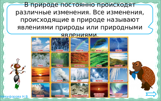 Как называется картина на которой изображается неживая природа