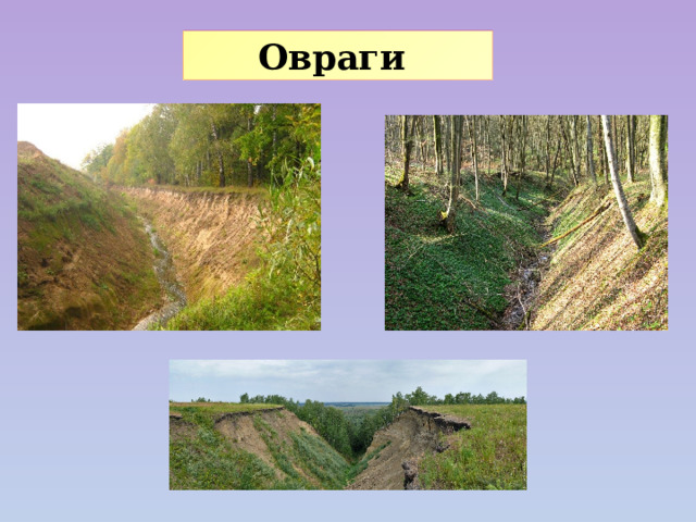 Овраги 