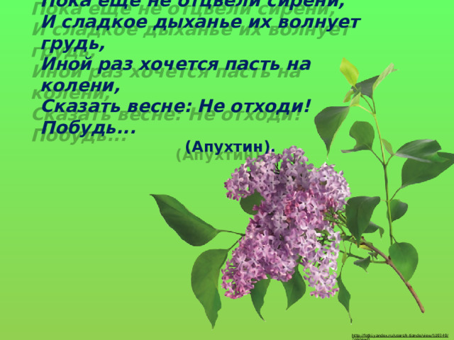 Пока еще не отцвели сирени, И сладкое дыханье их волнует грудь, Иной раз хочется пасть на колени, Сказать весне: Не отходи! Побудь...   (Апухтин). http://fotki.yandex.ru/users/k-tiande/view/519349/?page=0  